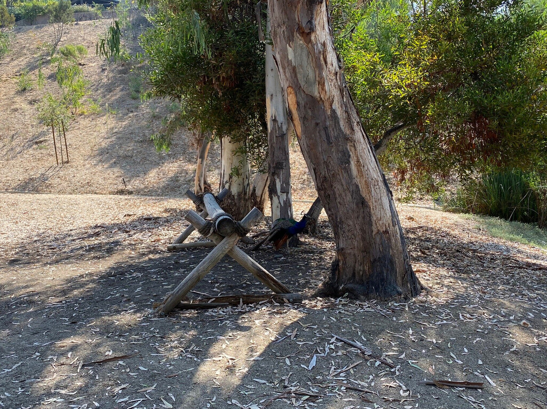 Leo Carrillo Ranch Historic Park-卡尔斯巴德必去景点