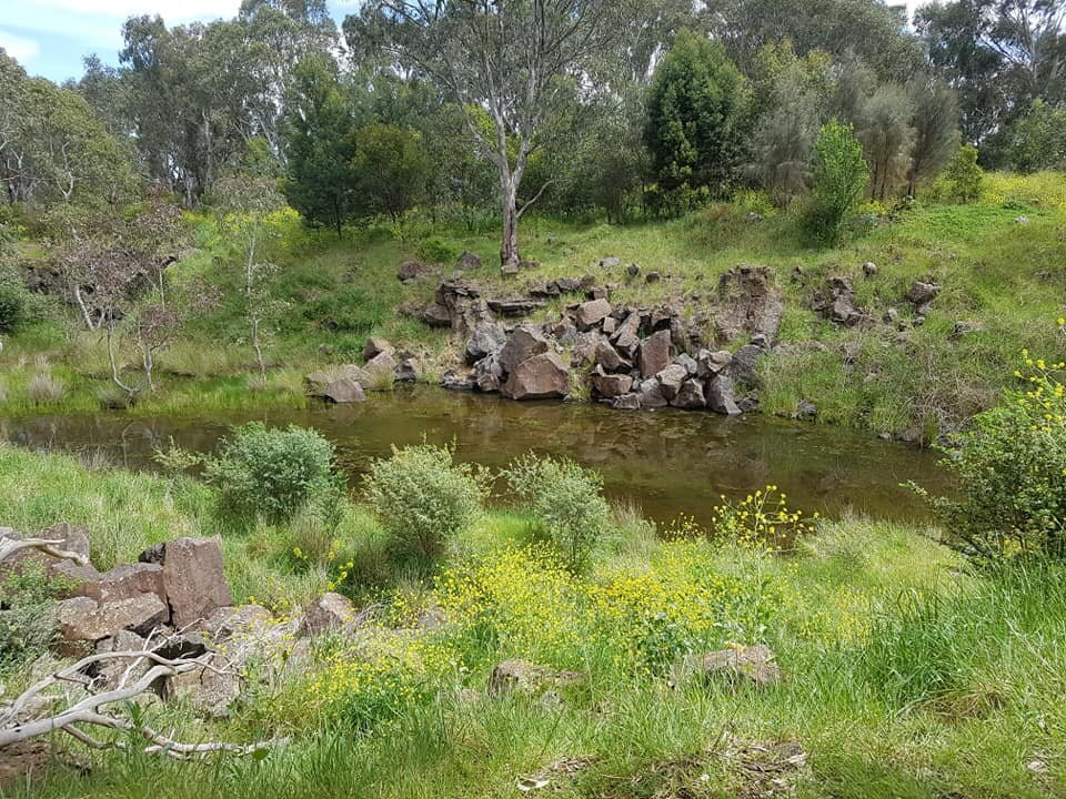 Morang Wetlands-South Morang必去景点