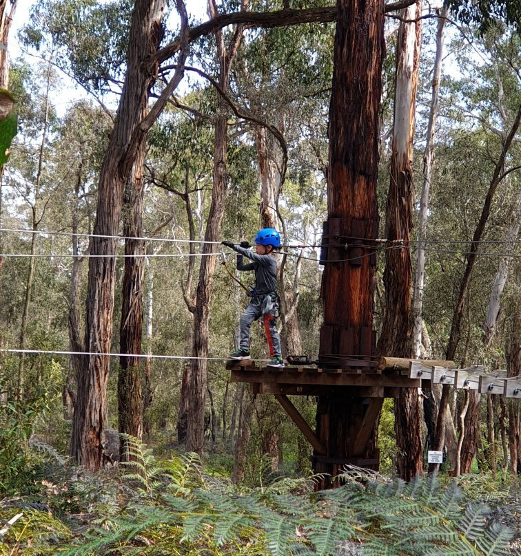 Treetops Adventure Yeodene-Yeodene必去景点