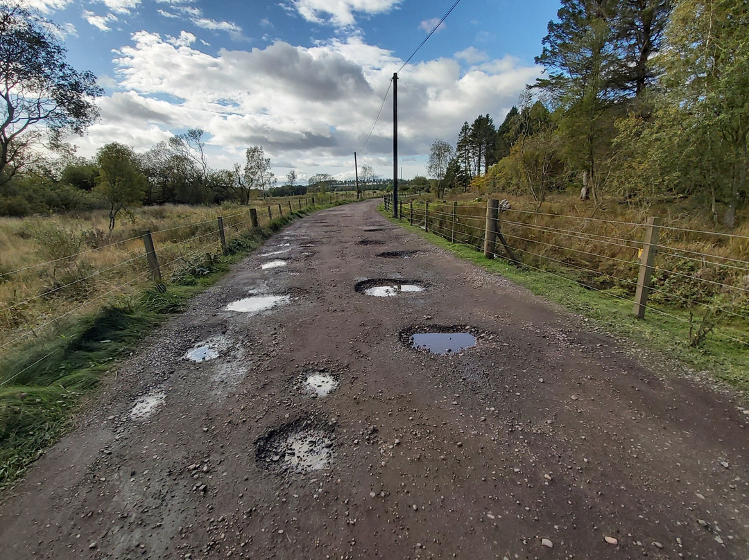 Tentsmuir National Nature Reserve-Tayport必去景点