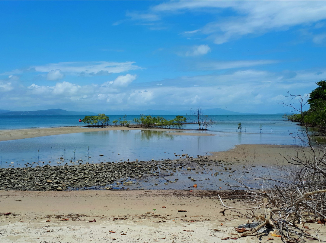 Sunday At The Port Douglas Market-道格拉斯港必去景点
