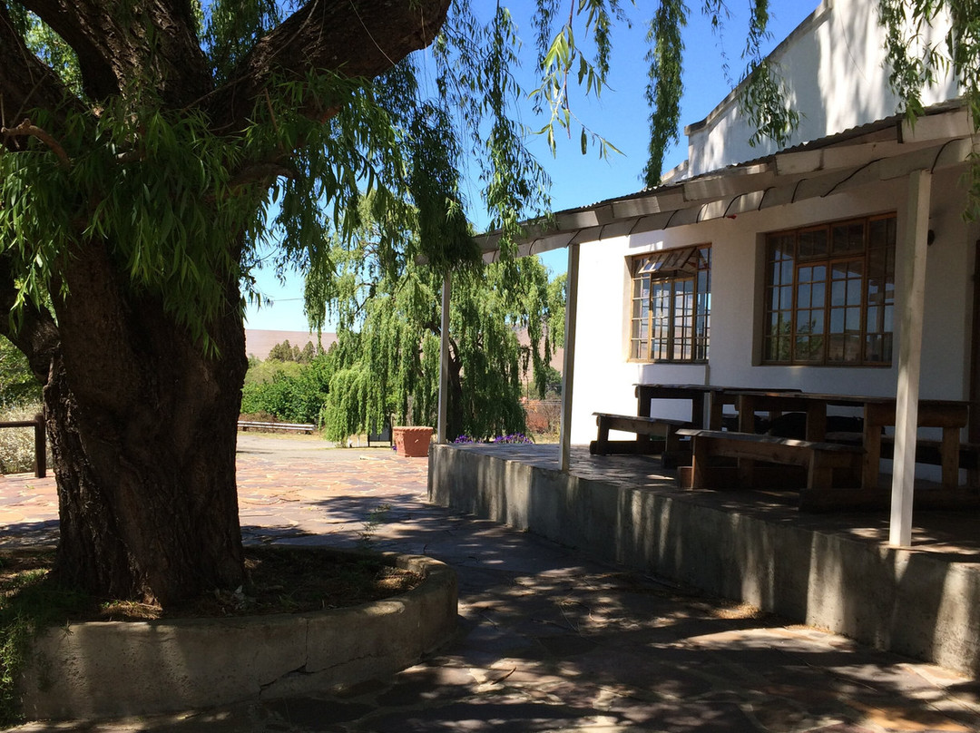 Swinburne旅游攻略图片