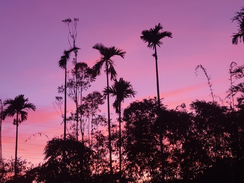 Monogram Resorts Wayanad主图