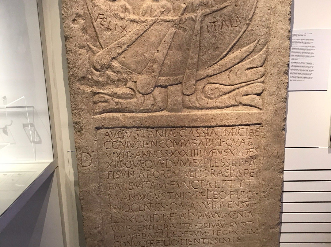 Museum Carnuntinum景点图片
