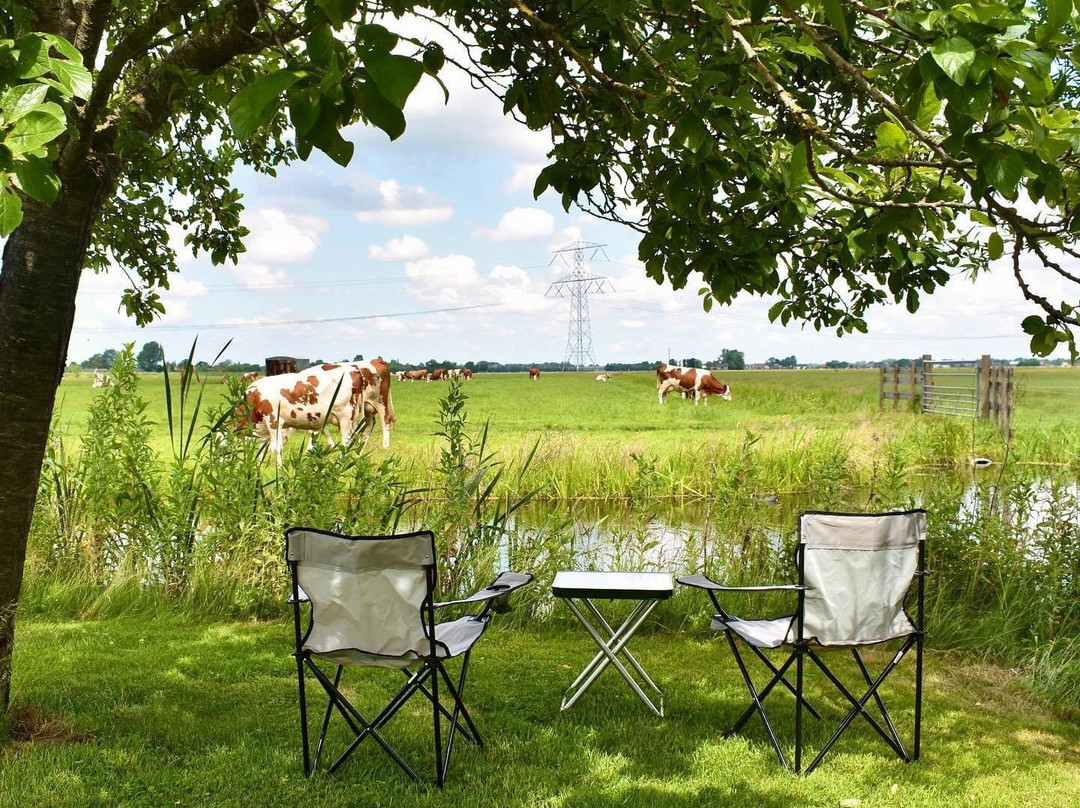 Woerden酒店住宿-Boerderij Hazenveld Mini-camping B&b