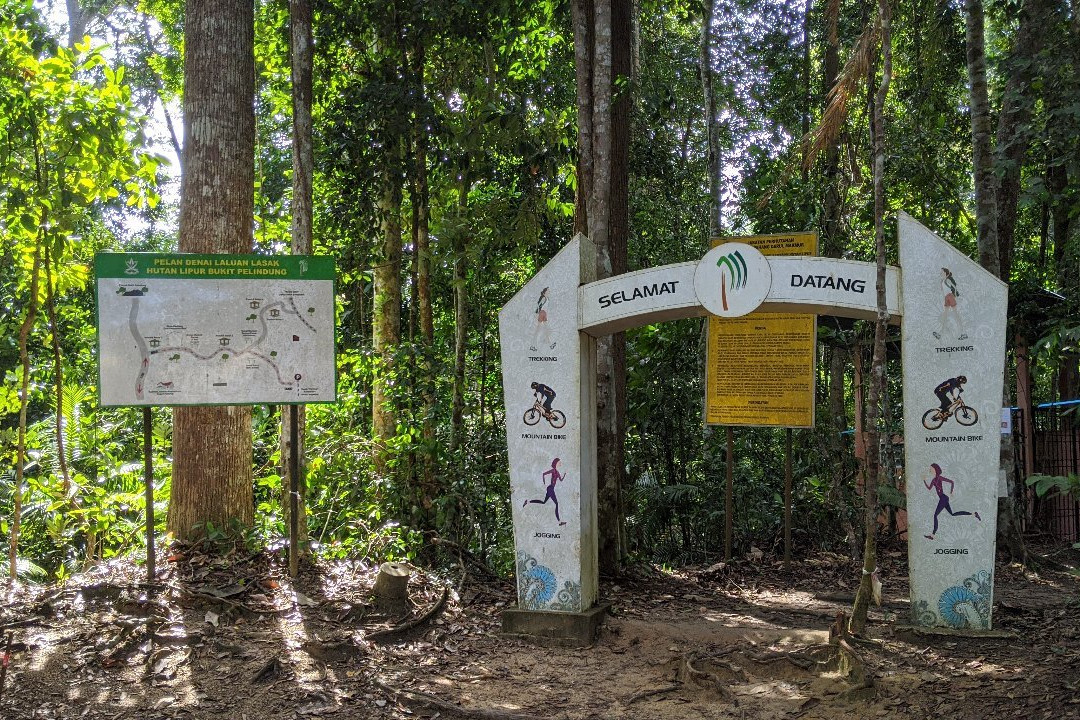 Bukit Pelindung Recreational Forest-关丹必去景点