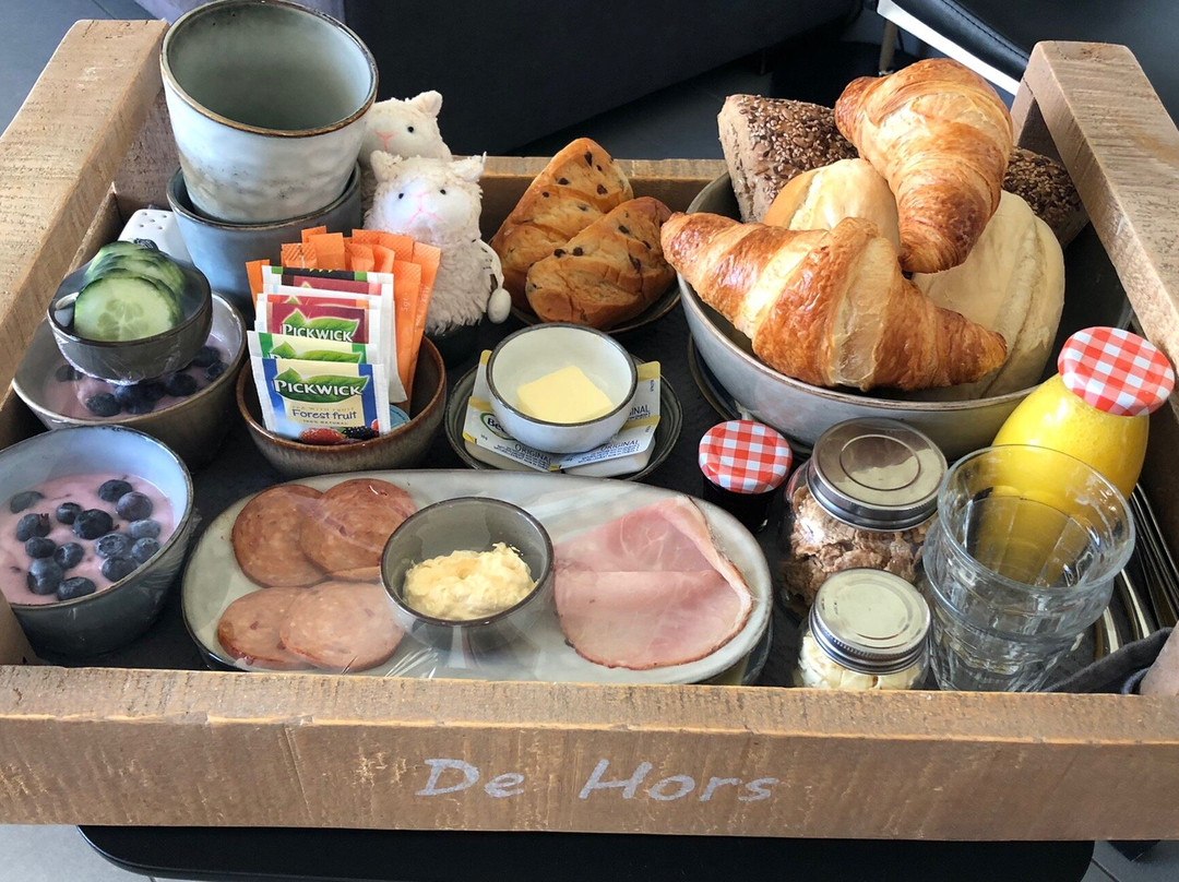 'T lant van Texsel主图