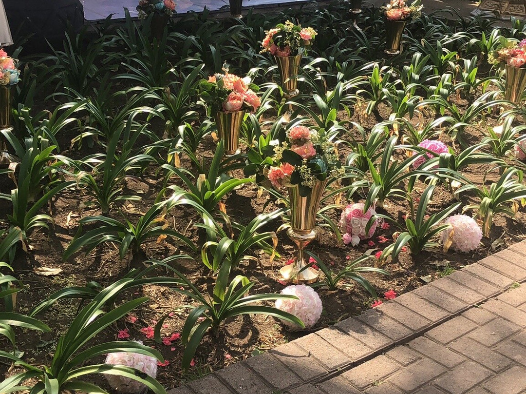 The Lapha Guesthouse & Conference Centre主图