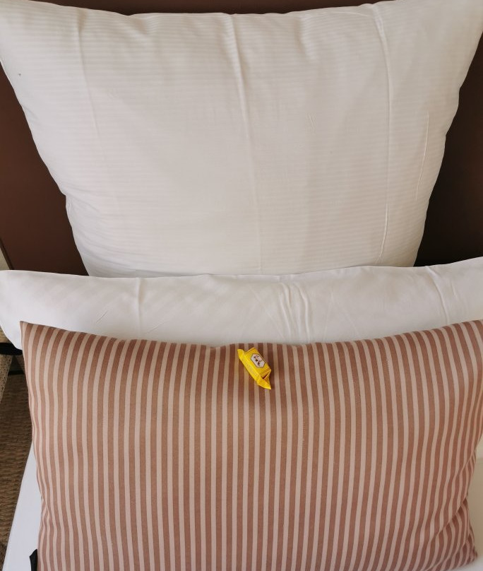 Hotel Friedrichs主图