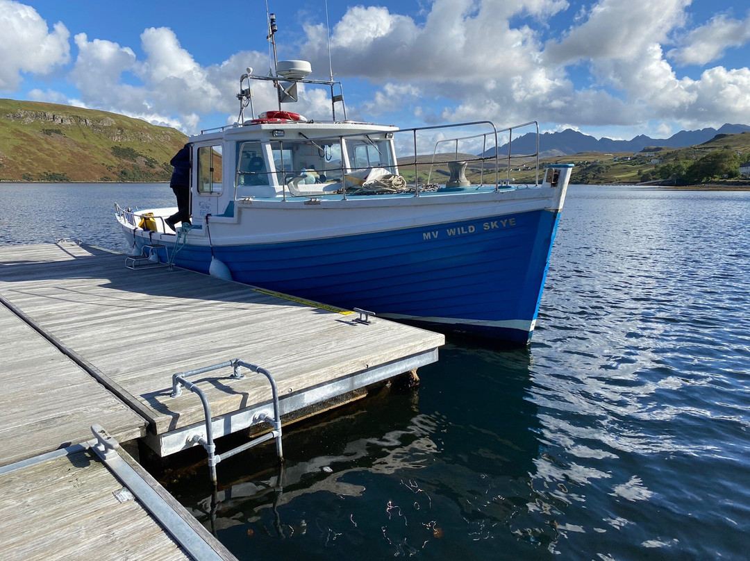 Wild Skye Boat Trips景点图片