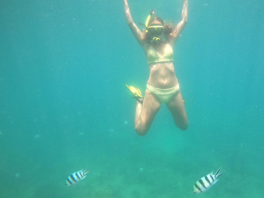 黑岛-芽庄必去景点