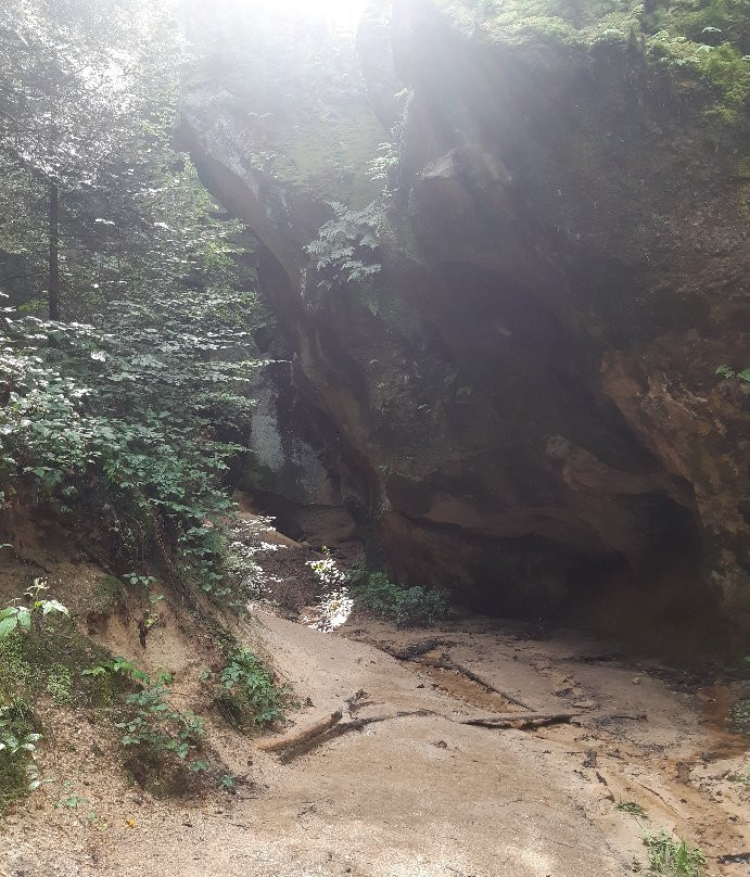 Witch Gorge/Wawoz Czarownic景点图片