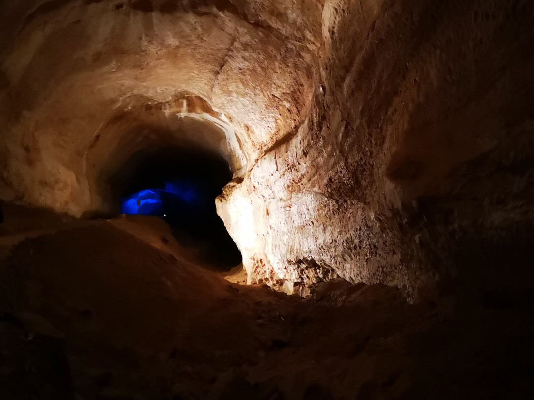 Mammoth Cave-上特劳恩必去景点