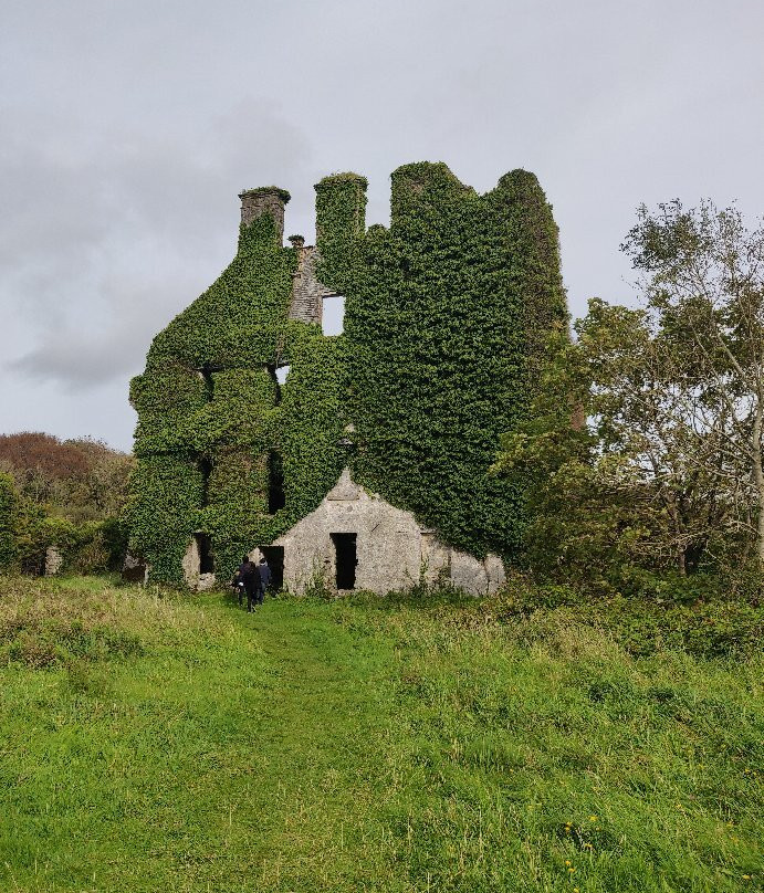 Menlo Castle / Blake's Castle景点图片