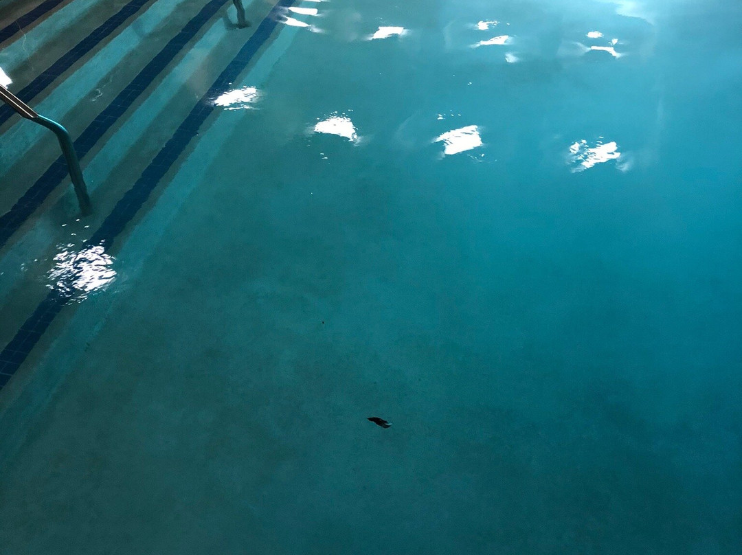 Drury Inn & Suites Birmingham Lakeshore Drive主图