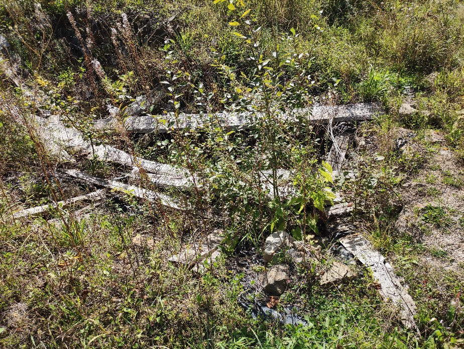 Ruins of the Castle In Muszyna景点图片