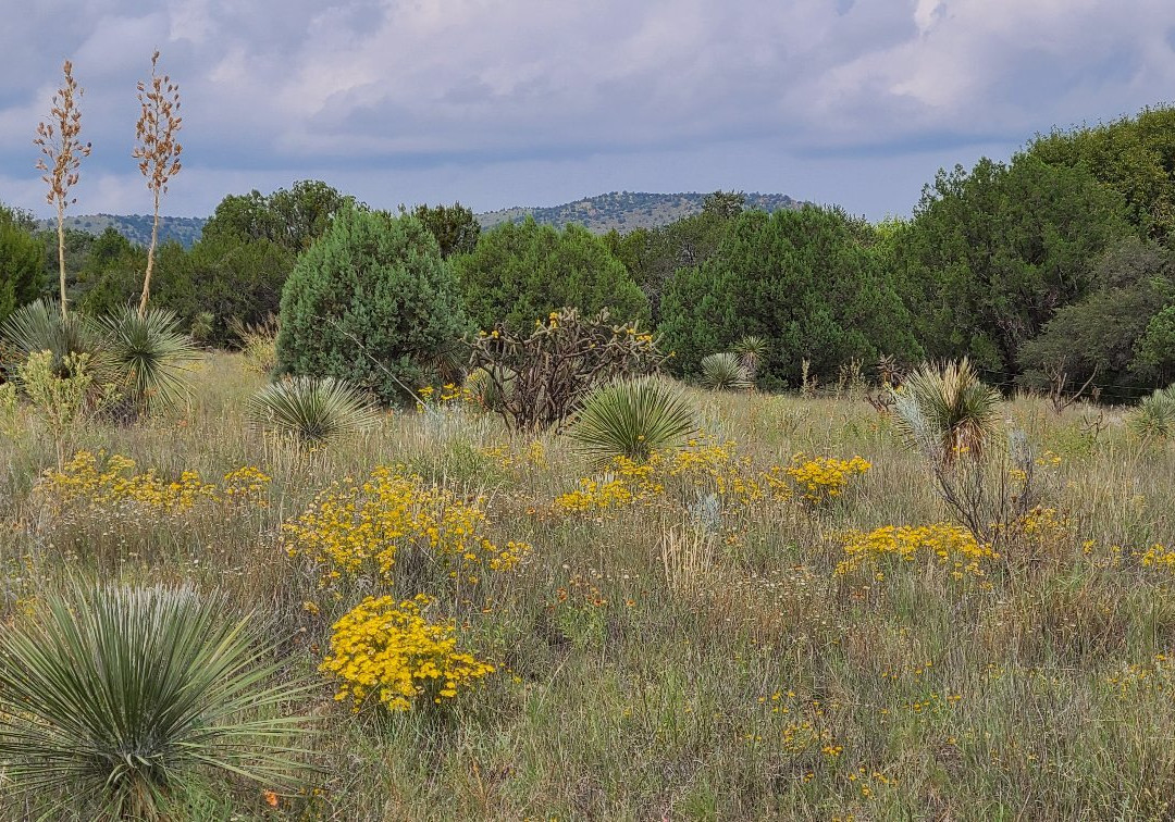 Mimbres Culture Heritage Site-Mimbres必去景点