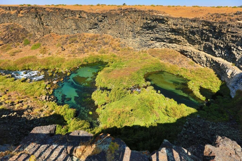 Box Canyon Spring Nature Preserve-Wendell必去景点