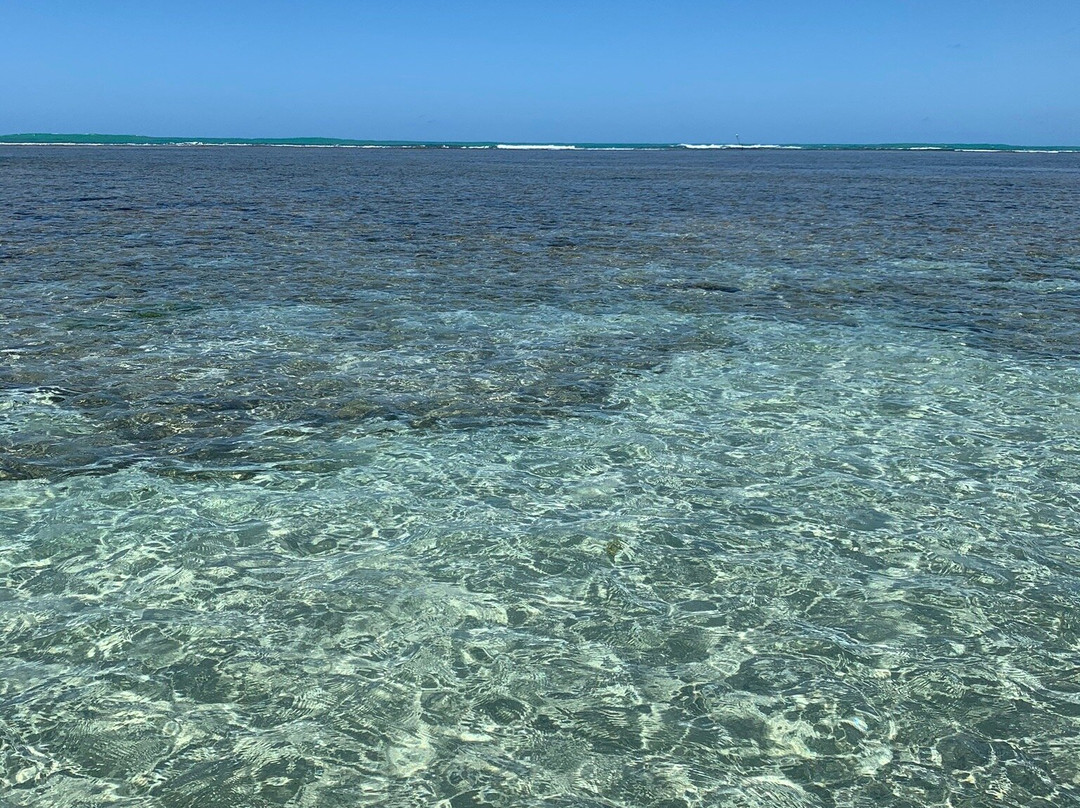 Mota Turismo-Maragogi必去景点