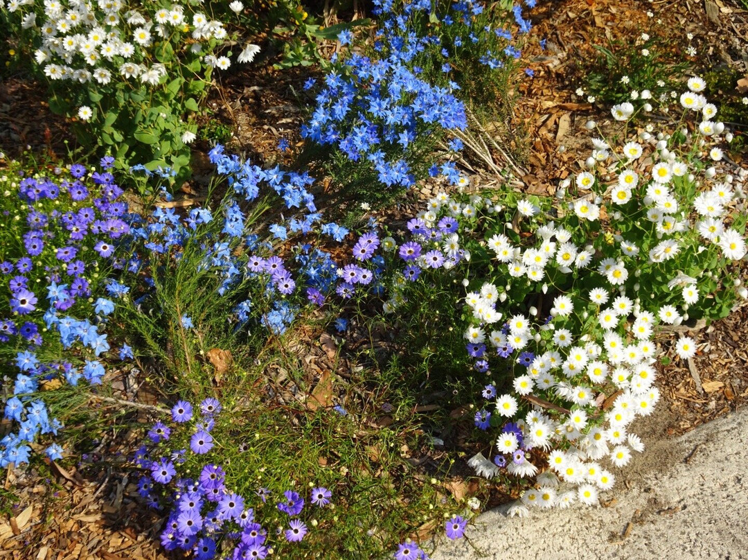 GoGo Active Tours & Events-珀斯必去景点