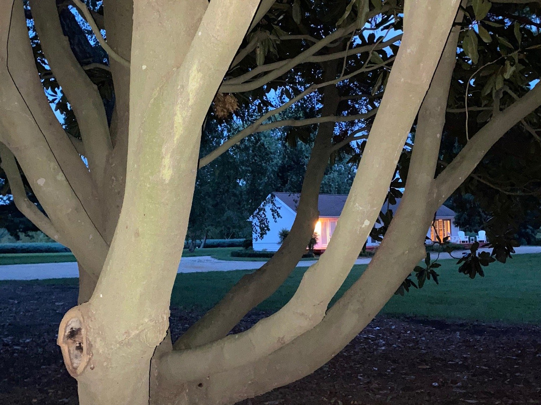 The Woodlawn Historic B&B主图