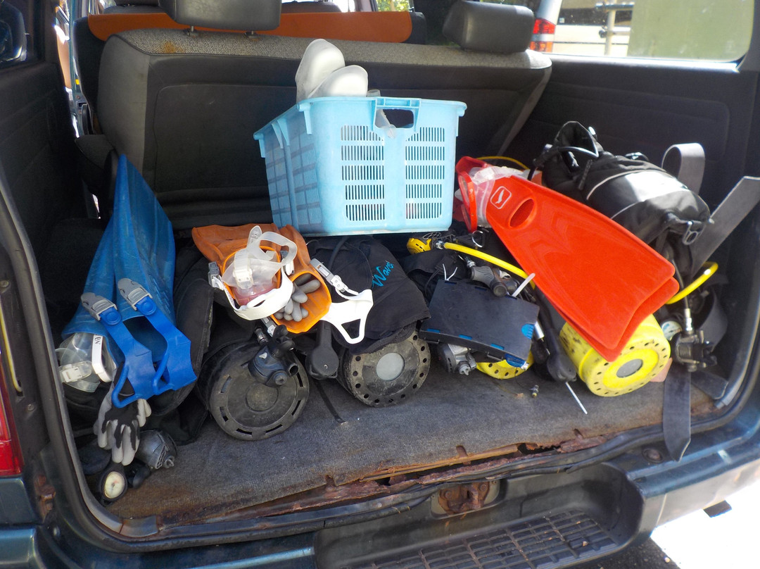 Ocean Boulevard-八丈岛必去景点