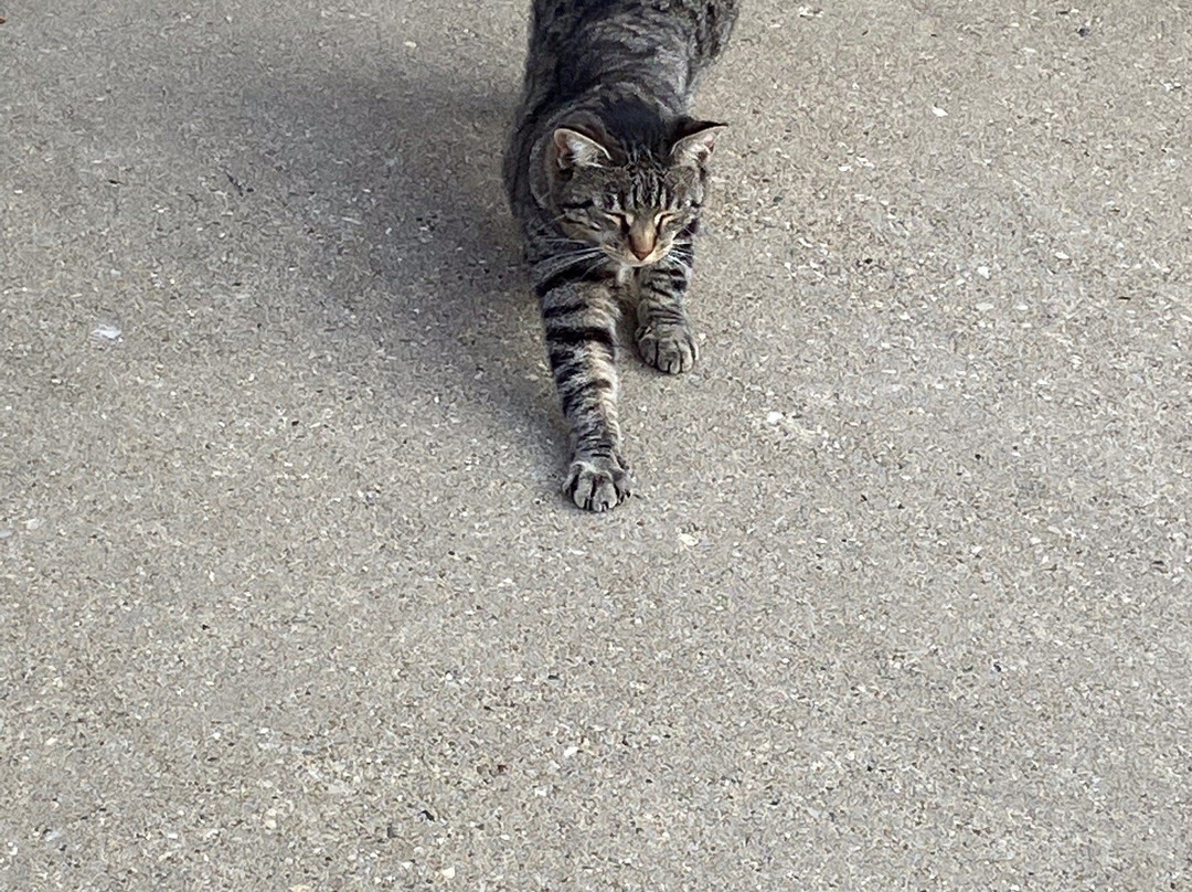 The North Star Inn主图