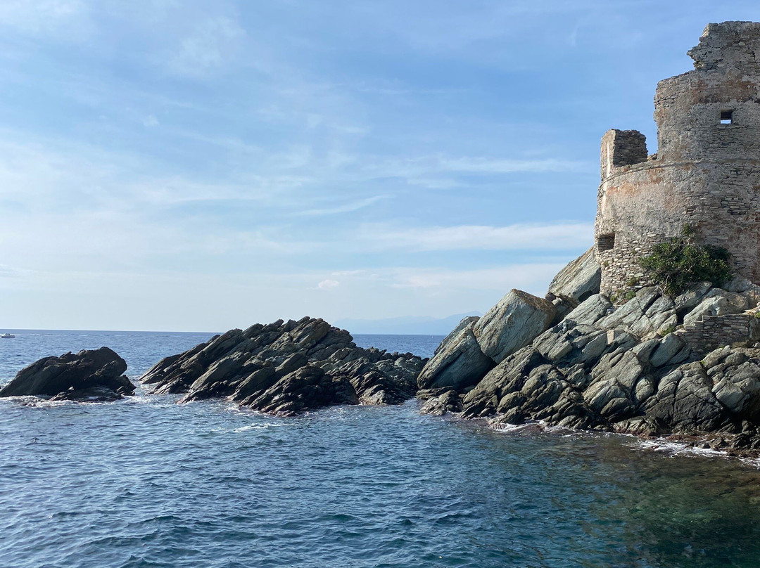 Bar U Scalu Erbalunga Cap Corse