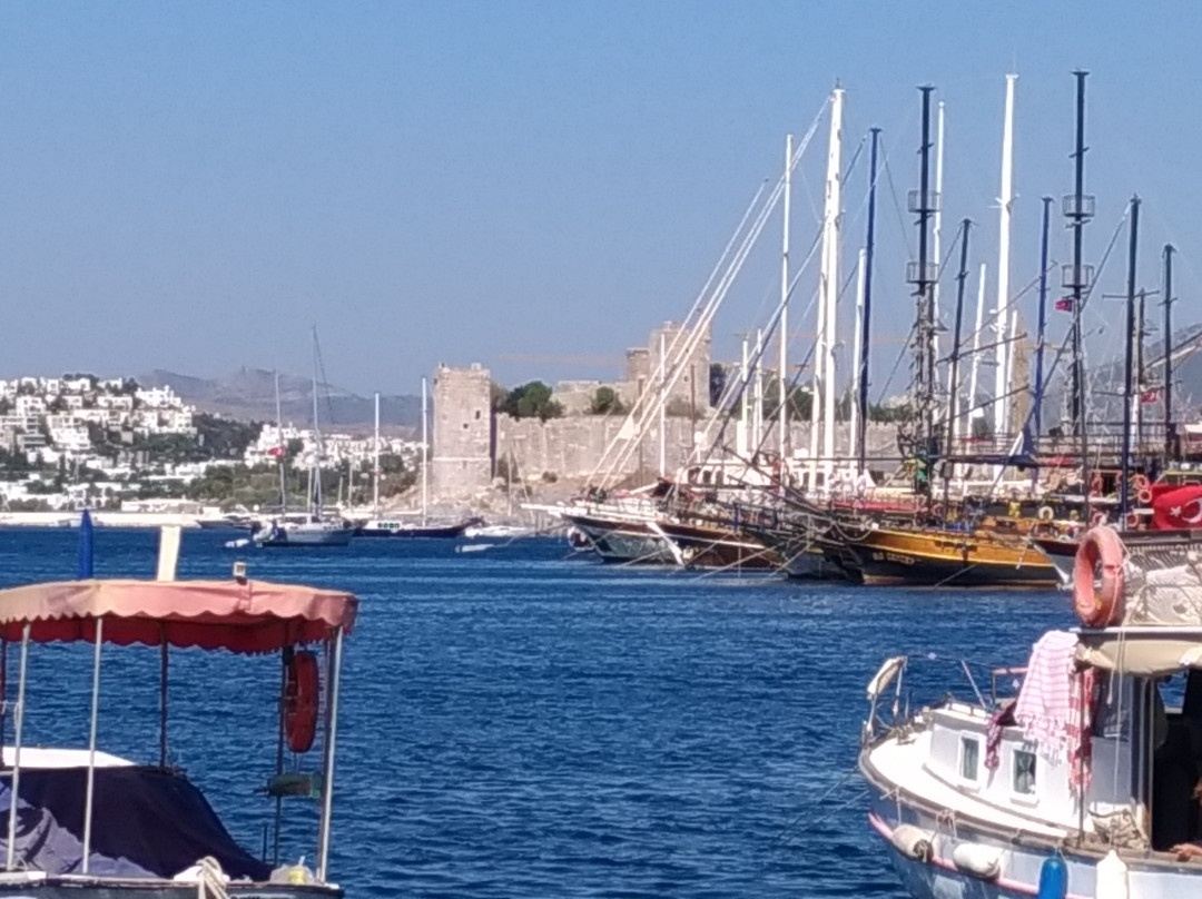 Kumbahçe Sahili景点图片
