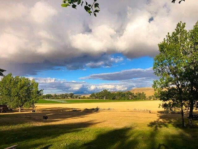 Virgelle Mercantile主图