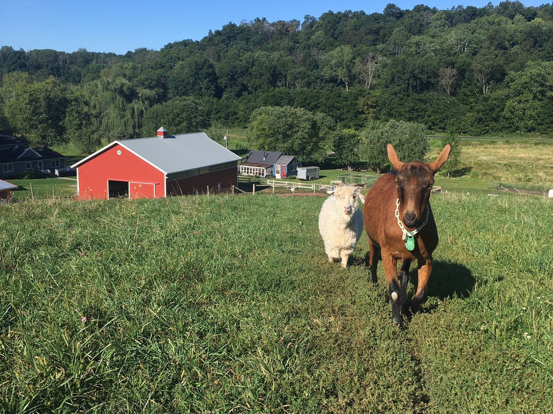 Rainbow Ridge Farms La Crosse/onalaska主图