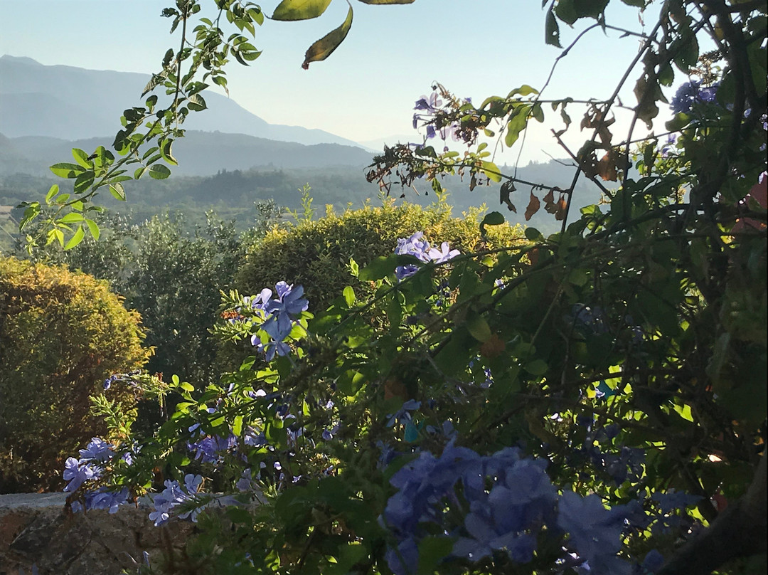 Fundana Villas主图