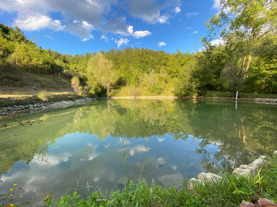 Cannabis Clinic & Restaurant主图