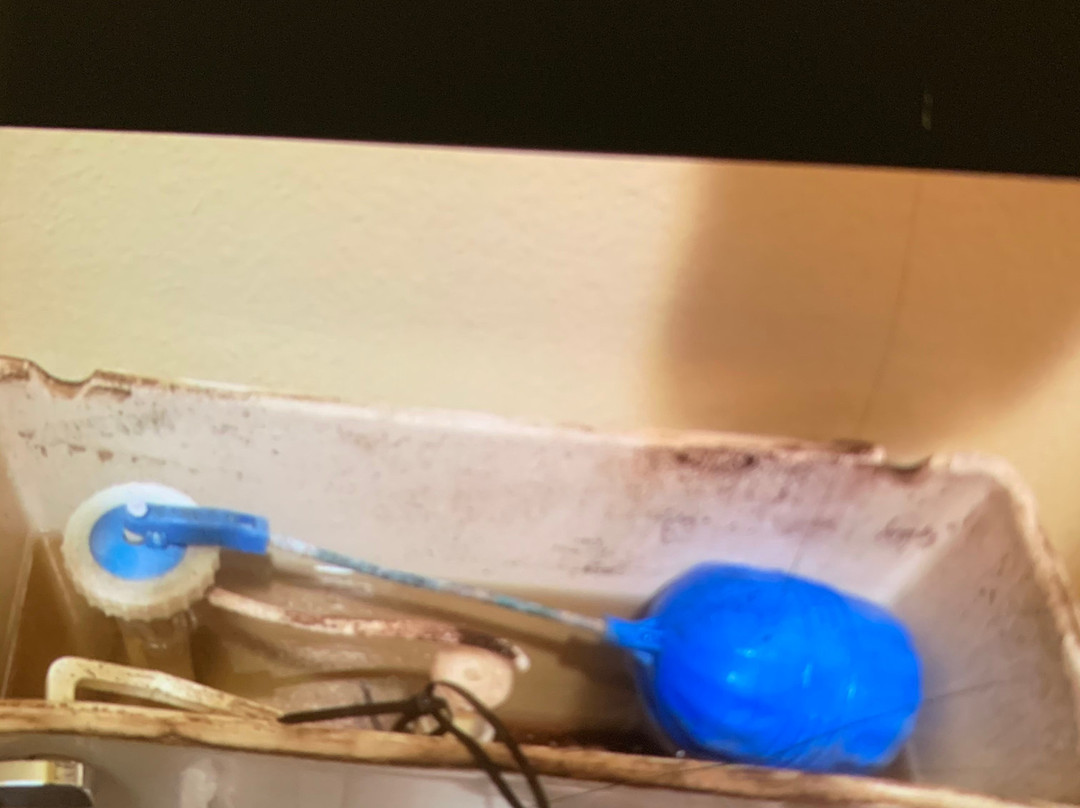 阿拉莫莎速8酒店主图