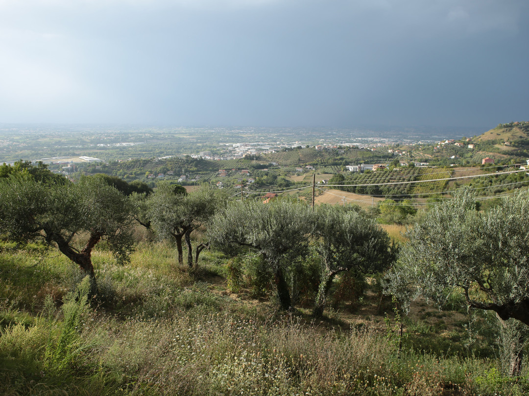 Azienda Agrituristica Il Quadrifoglio主图