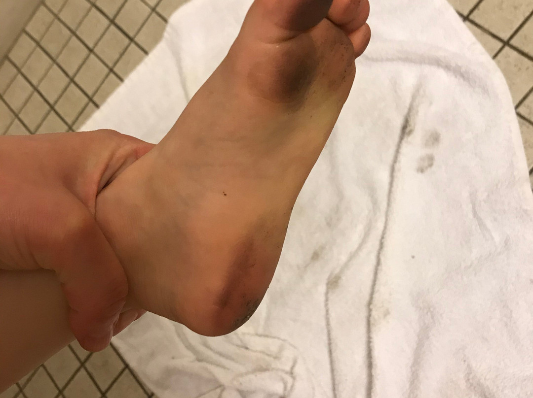 Motel 6 Eloy, AZ - Casa Grande主图