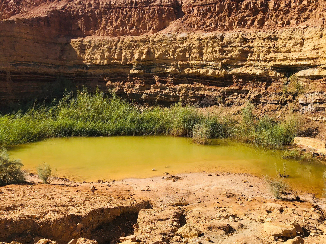 Ramon Crater-米茨佩拉蒙必去景点