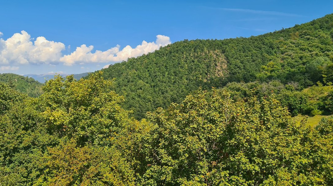 Agriturismo Pompagnano主图