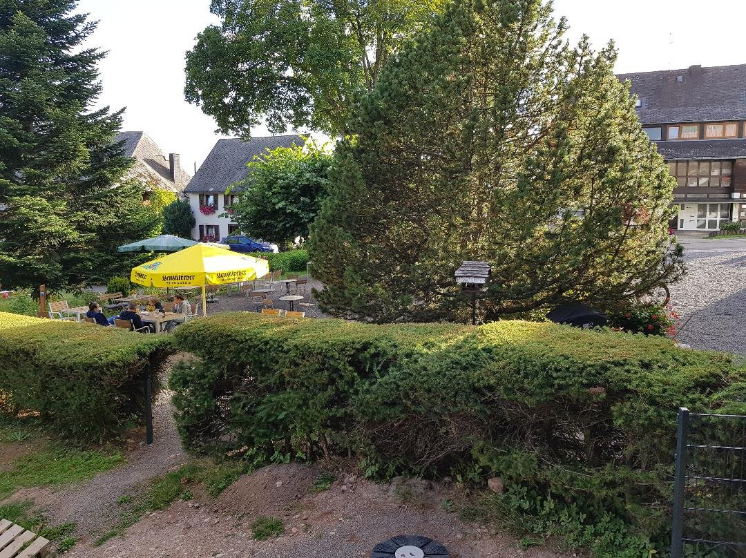 Hotel Hochfirst Garni主图