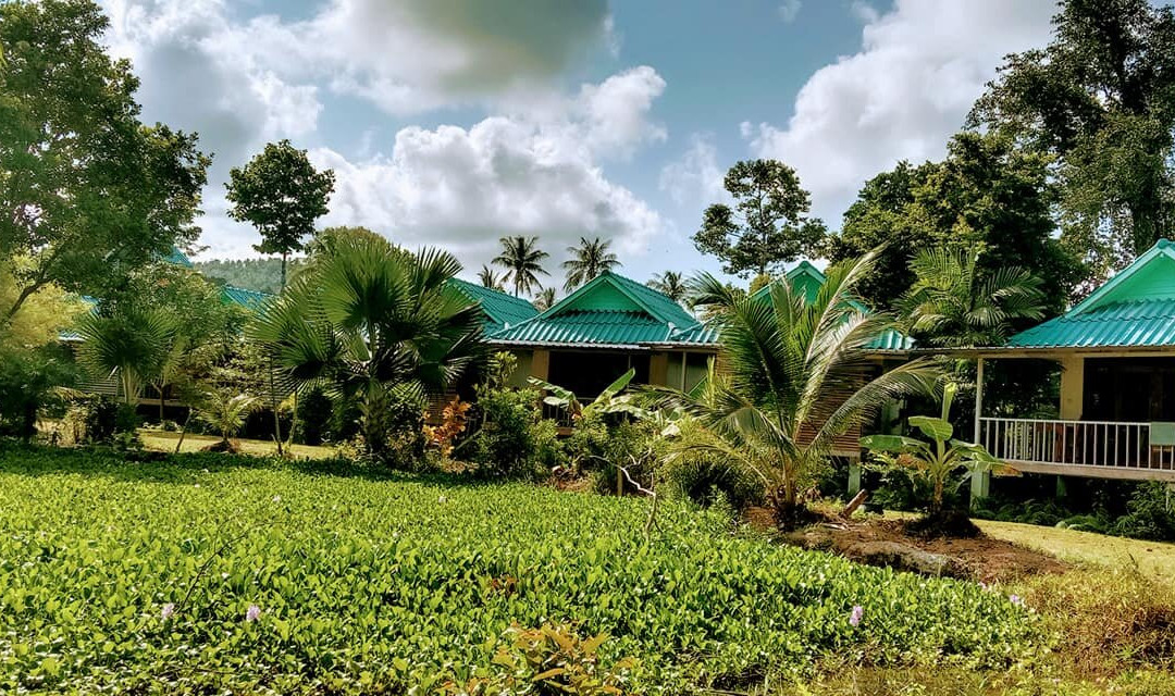 帕丽达花园度假村主图