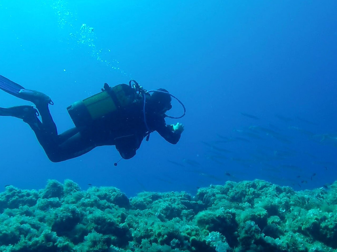 Rio Diving Center-Rio Marina必去景点