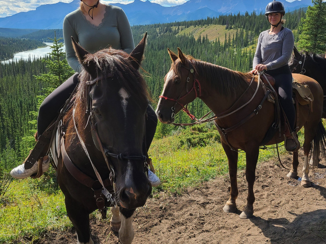 Old Entrance Trail Rides-兴顿必去景点