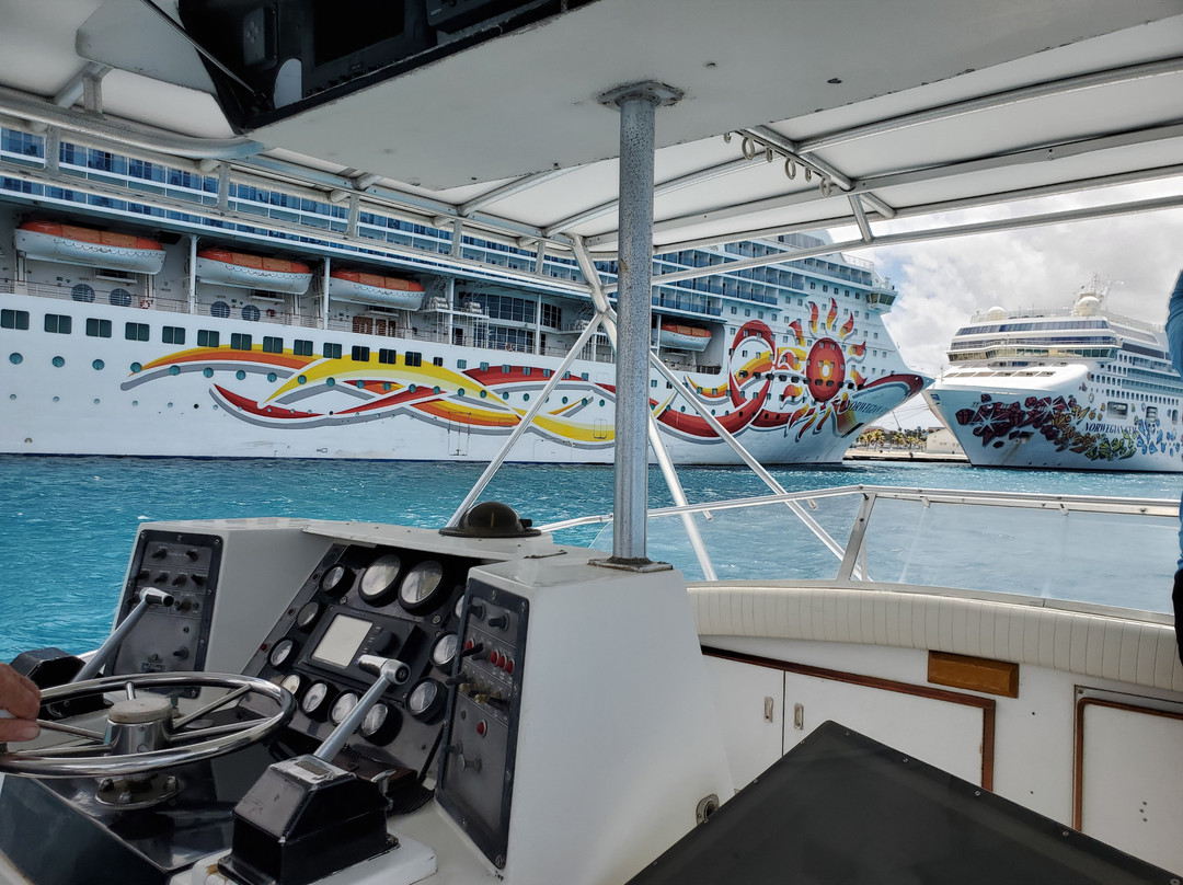 Mahi Mahi Fishing Charters Aruba-奥腊涅斯塔德必去景点