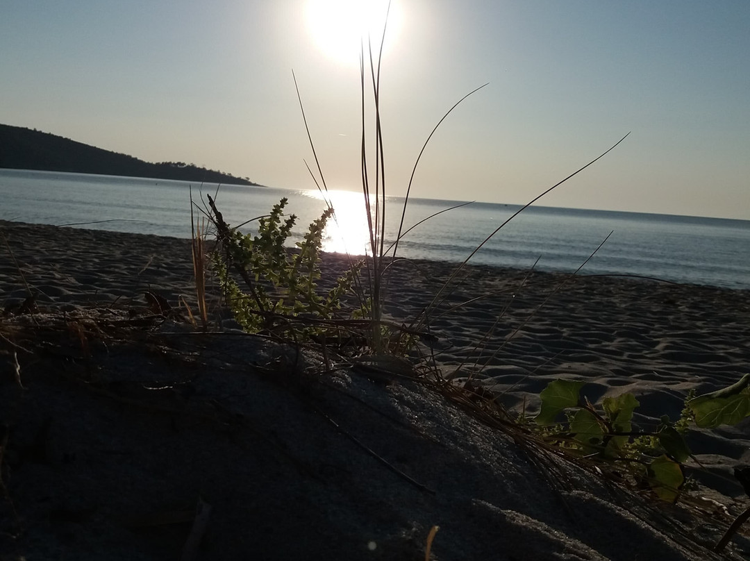 Princess Golden Beach Hotel主图