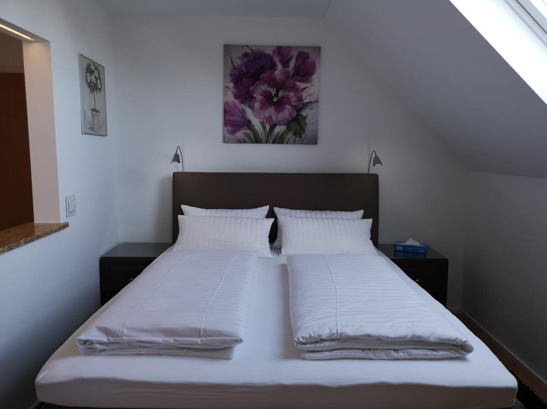 Hotel Restaurant Tuniberg主图