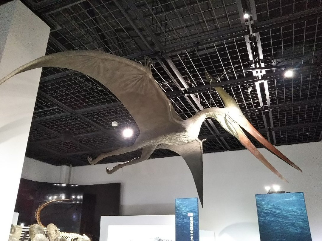 Mikasa City Museum-三笠市必去景点