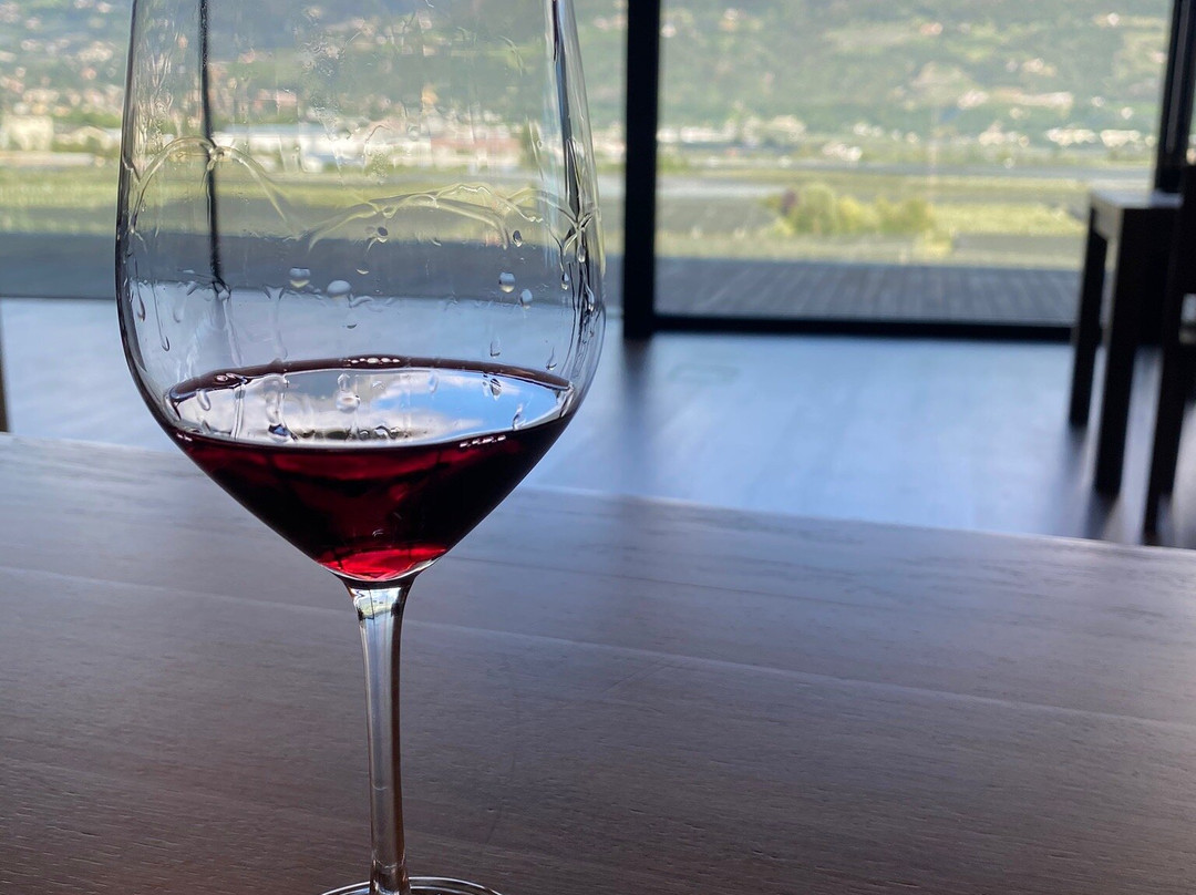 Cantina Merano Burggräfler景点图片