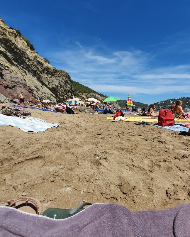 Platja Aigües Blanques景点图片