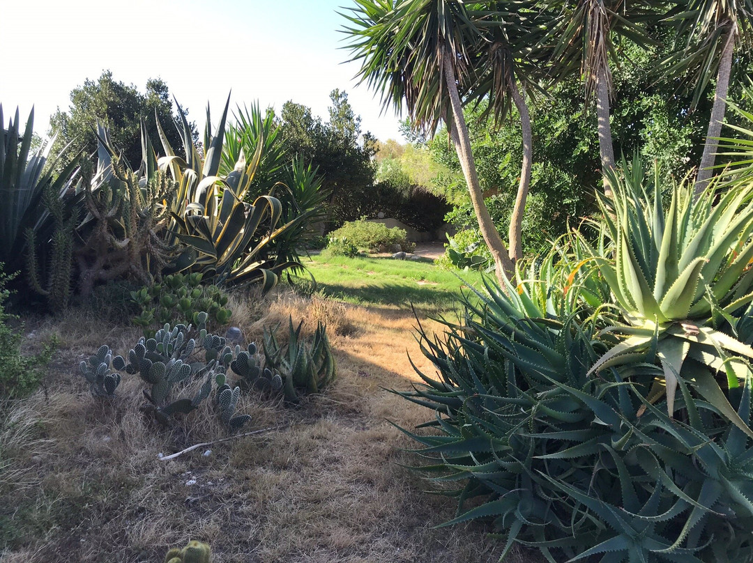 Scuderie De Morimenta主图