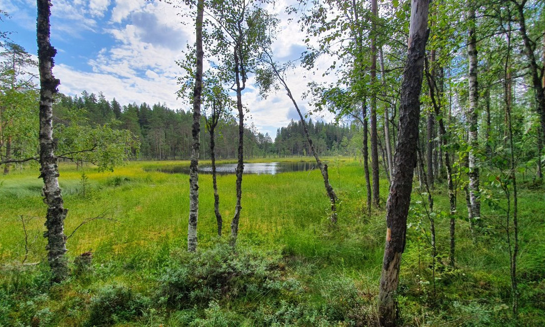 Leivonmaki National Park-Joutsa必去景点